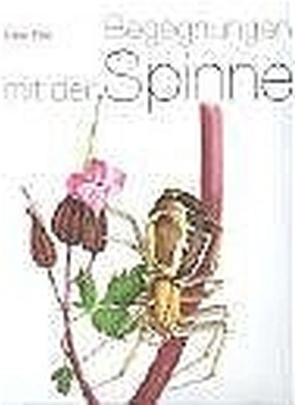 Begegnungen mit der Spinne