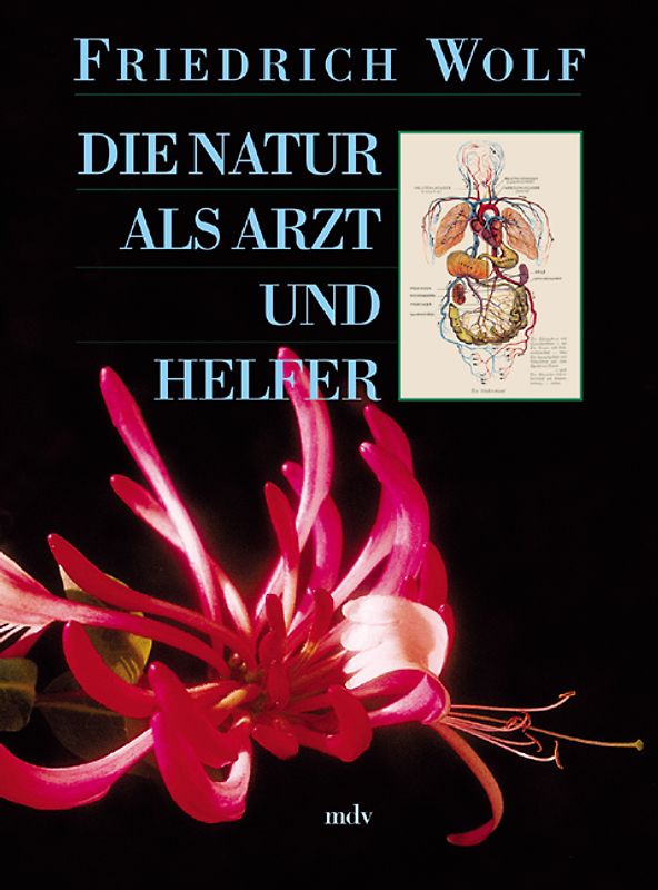 Die Natur als Arzt und Helfer