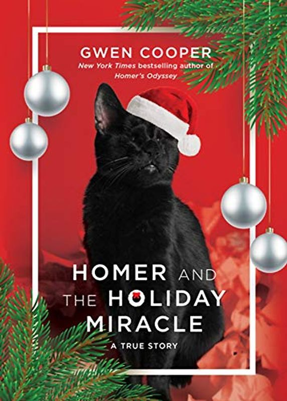 Homer and the Holiday Miracle: A True Story