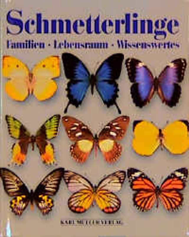 Schmetterlinge. Familien - Lebensraum - Wissenswertes