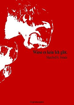 Wieso es kein ICH gibt