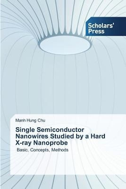 Single Semiconductor Nanowires Studied by a Hard X-ray Nanoprobe