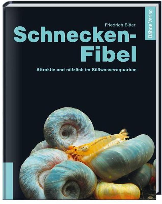 Schnecken-Fibel