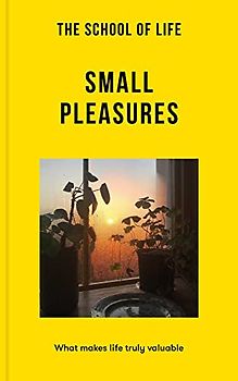 Small Pleasures: What Makes Life Truly Valuable (Lessons for Life)