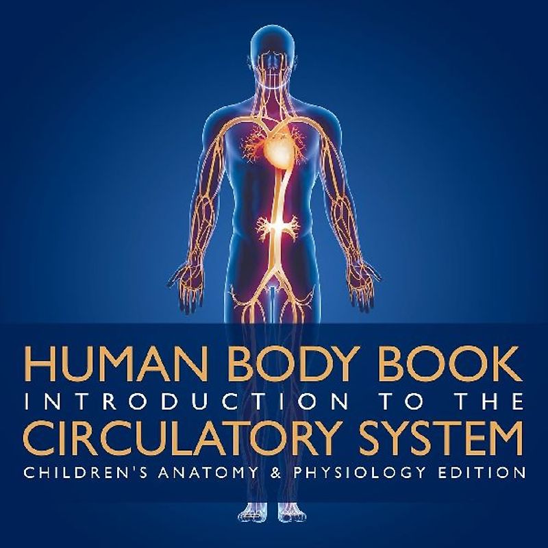 Human Body Book | Introduction to the Circulatory System | Children's Anatomy & Physiology Edition
