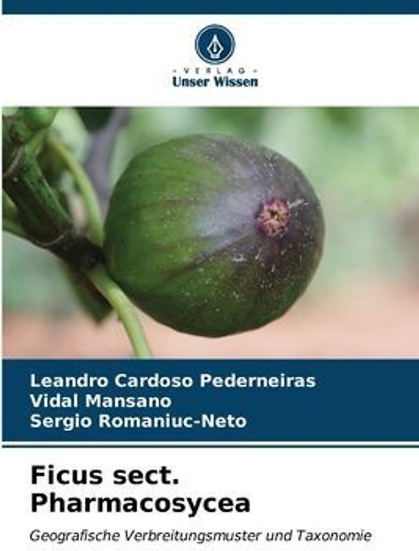 Ficus sect. Pharmacosycea