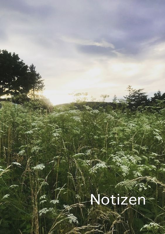 Notizen
