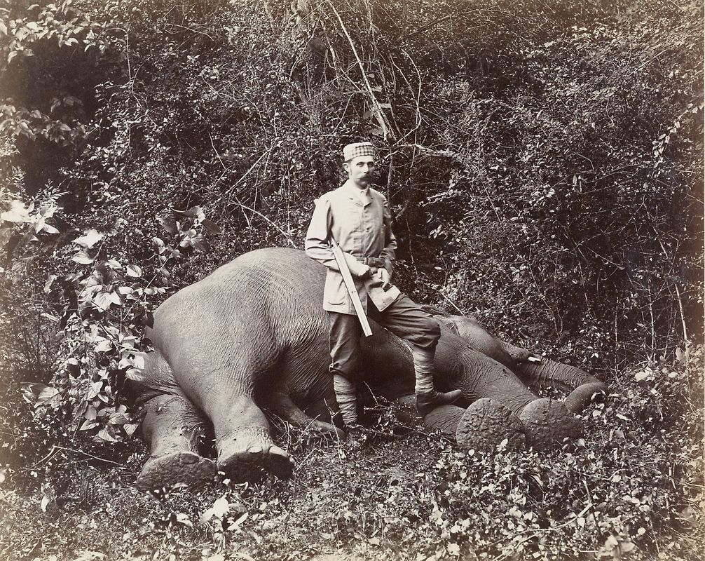 Reisen, so sagt man, ist eine Wissenschaft