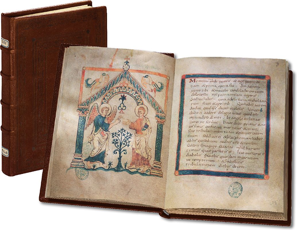 Die Apokalypse von Cambrai