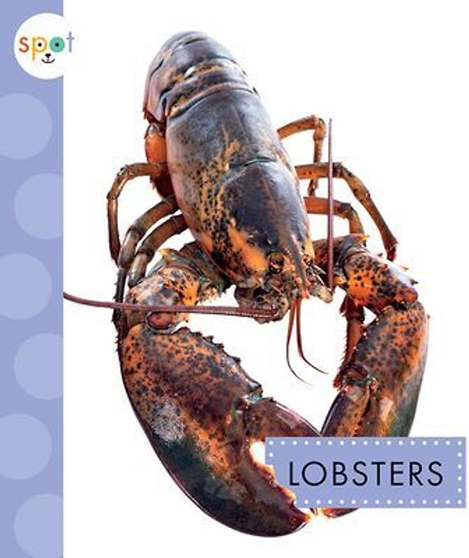 Lobsters