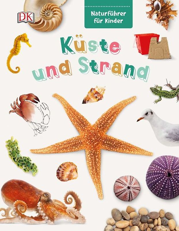 Naturführer für Kinder. Küste und Strand