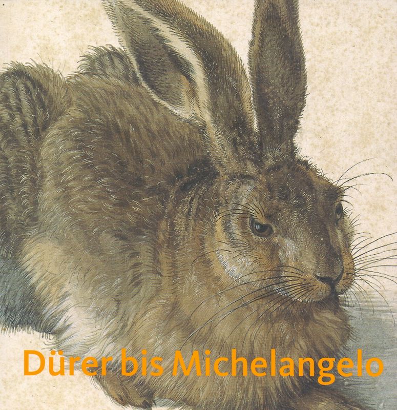 Meisterzeichnungen der Albertina: Dürer bis Michelangelo - Klaus Albrecht Schröder [Broschiert]
