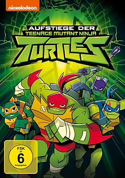 Rise of the Teenage Mutant Ninja Turtles DVD