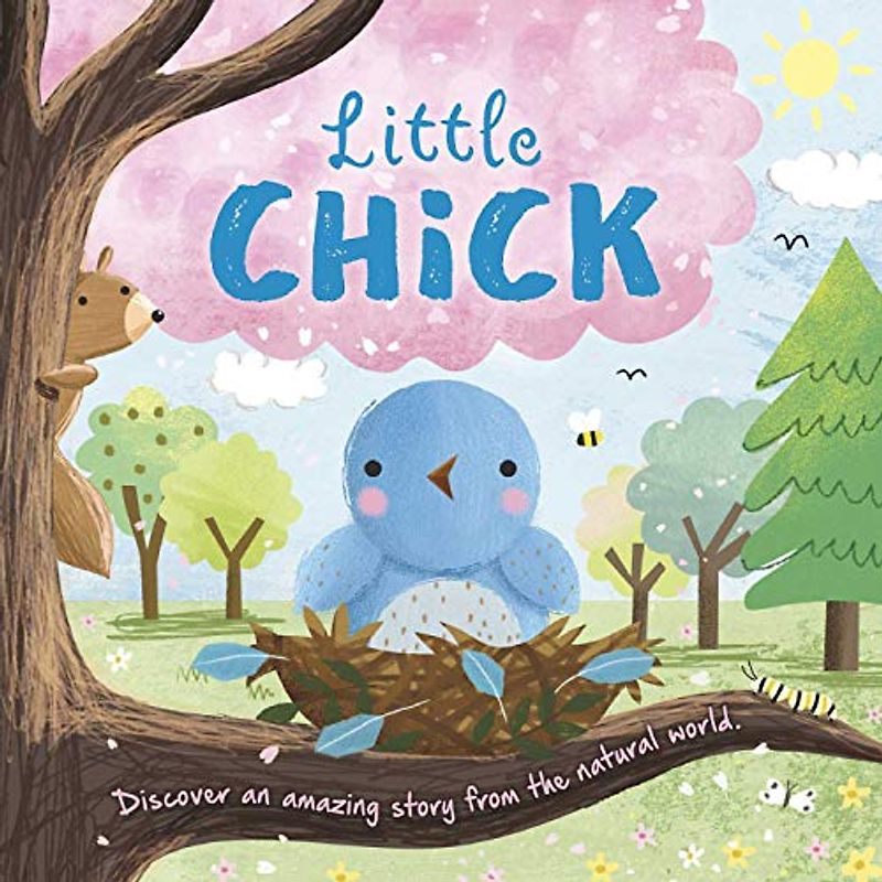 Little Chick: Padded Board Book