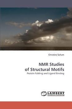 NMR Studies of Structural Motifs