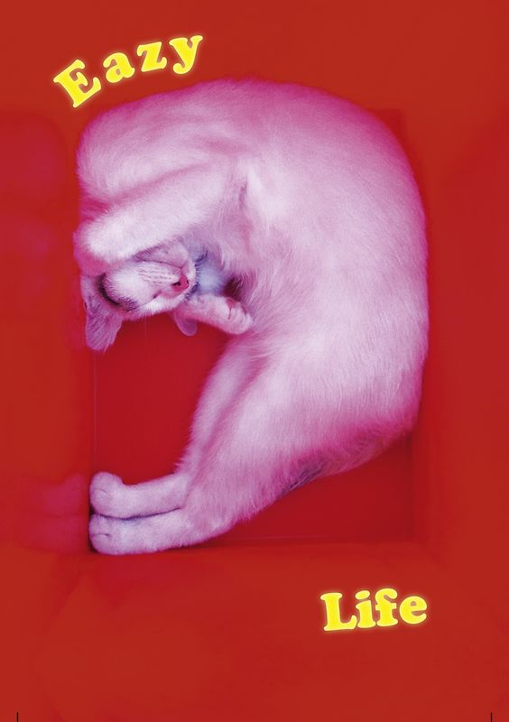 Eazy Life
