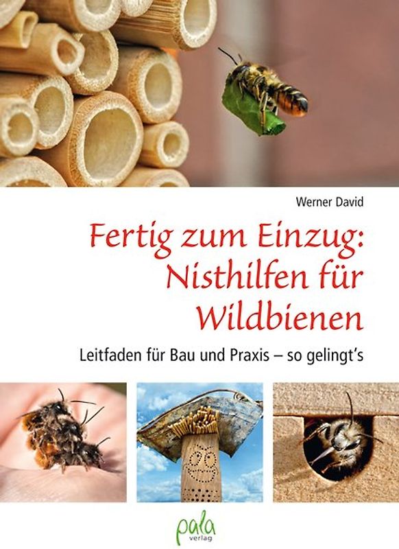 Fertig zum Einzug: Nisthilfen für Wildbienen