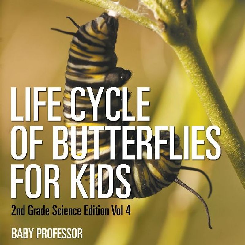 Life Cycle Of Butterflies for Kids | 2nd Grade Science Edition Vol 4