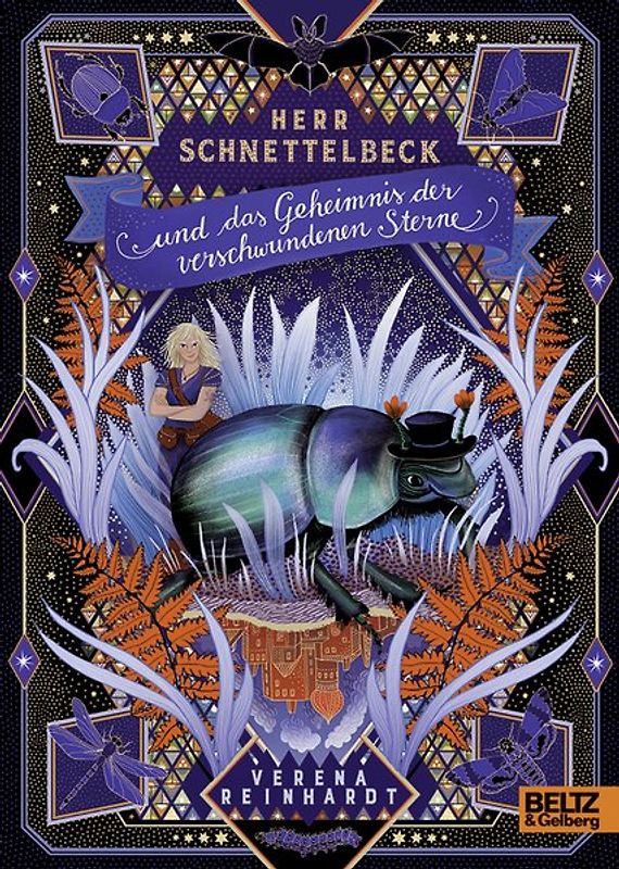 Herr Schnettelbeck und das Geheimnis der verschwundenen Sterne