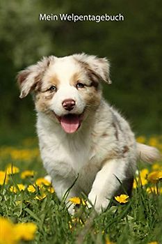 Mein Welpentagebuch: Australian Shepherd (Australian Shepherd - alle Bücher: Trainingstagebuch, Krankenakte und Welpentagebuch, Band 6)