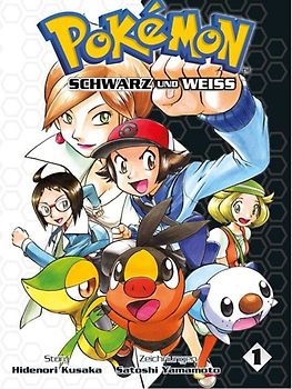 Pokémon Schwarz und Weiss 01
