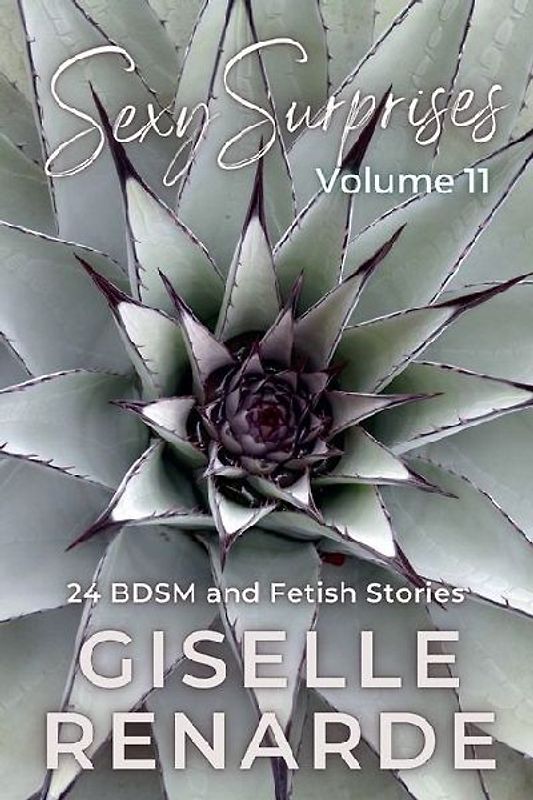 Sexy Surprises Volume 11