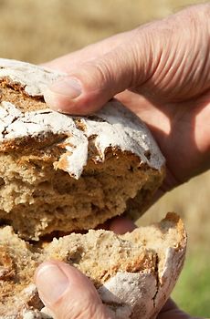 Maria, ein Leben vor dem Tod