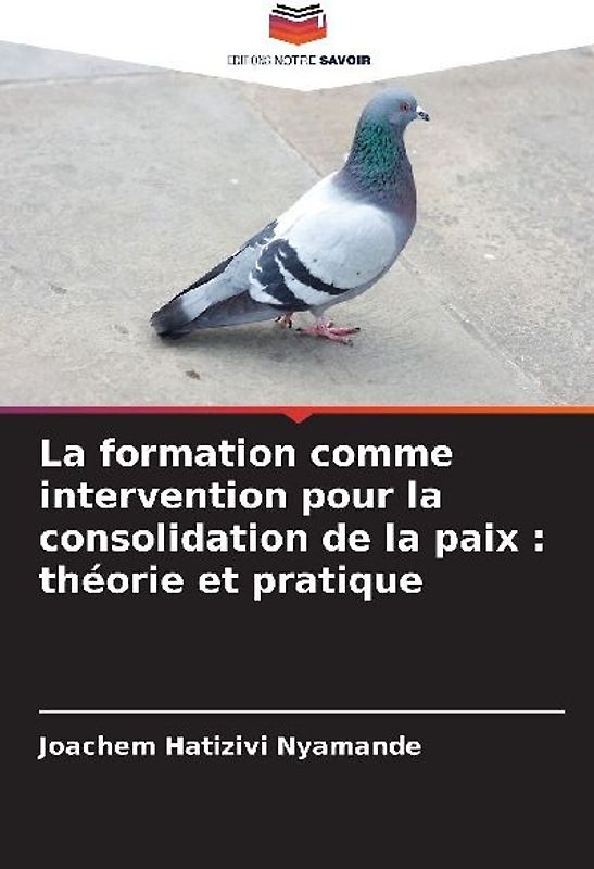 La formation comme intervention pour la consolidation de la paix : théorie et pratique