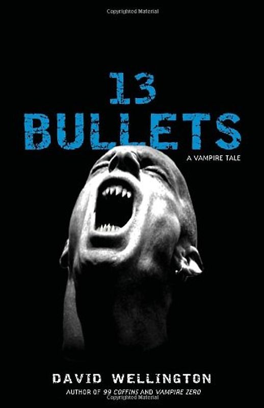 13 Bullets