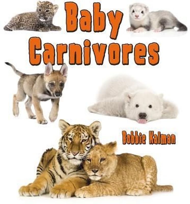 Baby Carnivores