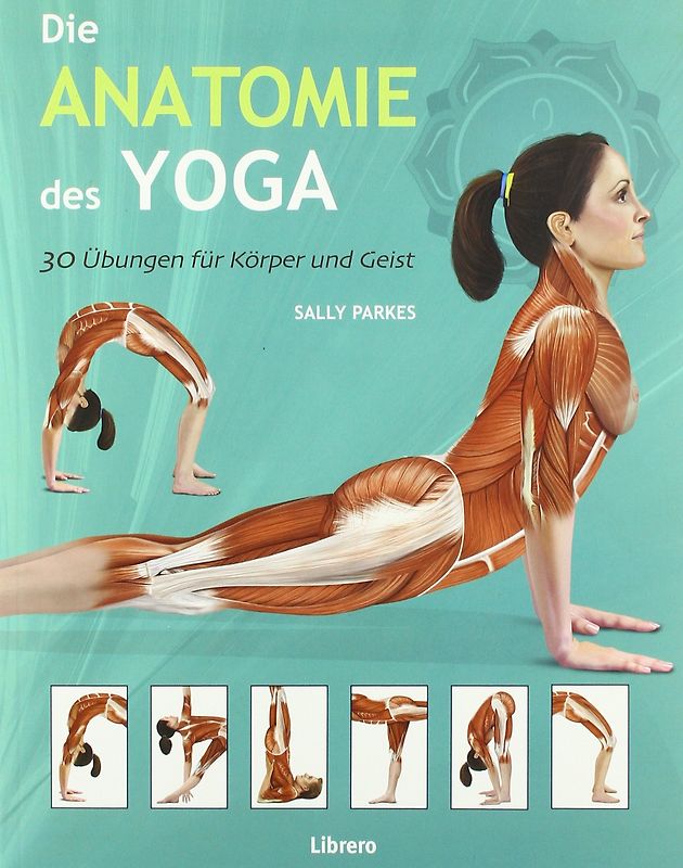 Die Anatomie des Yoga