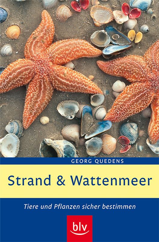 Strand und Wattenmeer