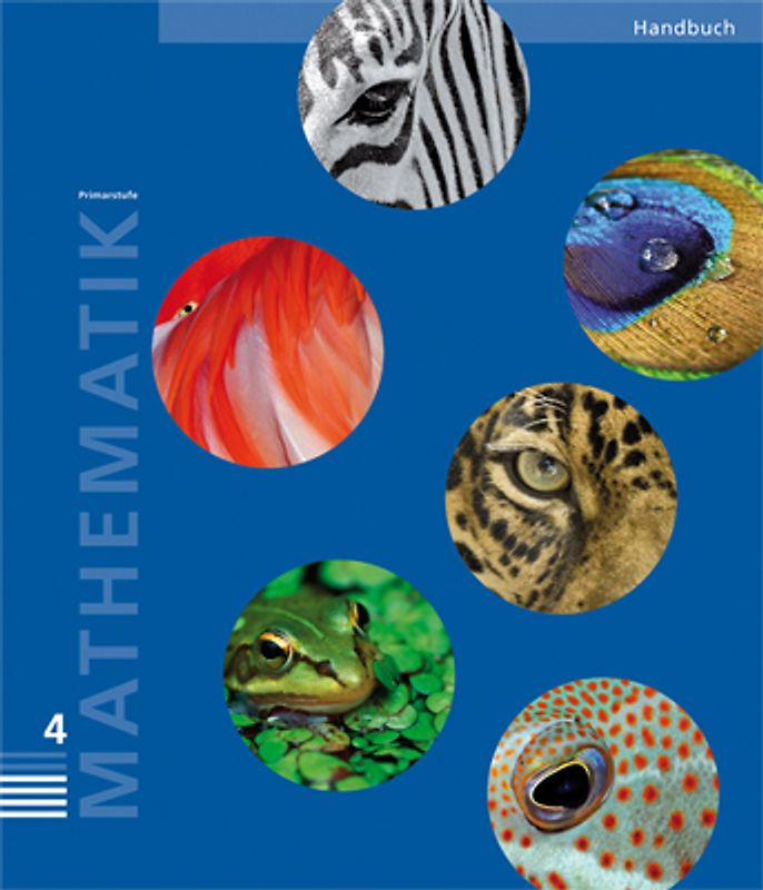 Mathematik 4 Primarstufe / Handbuch