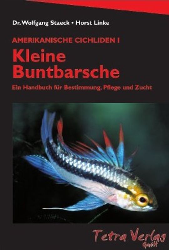 Kleine Buntbarsche