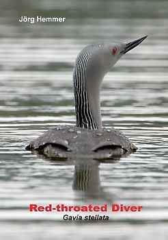Red-throated Diver