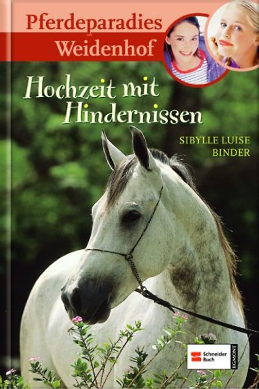 Pferdeparadies Weidenhof, Band 09