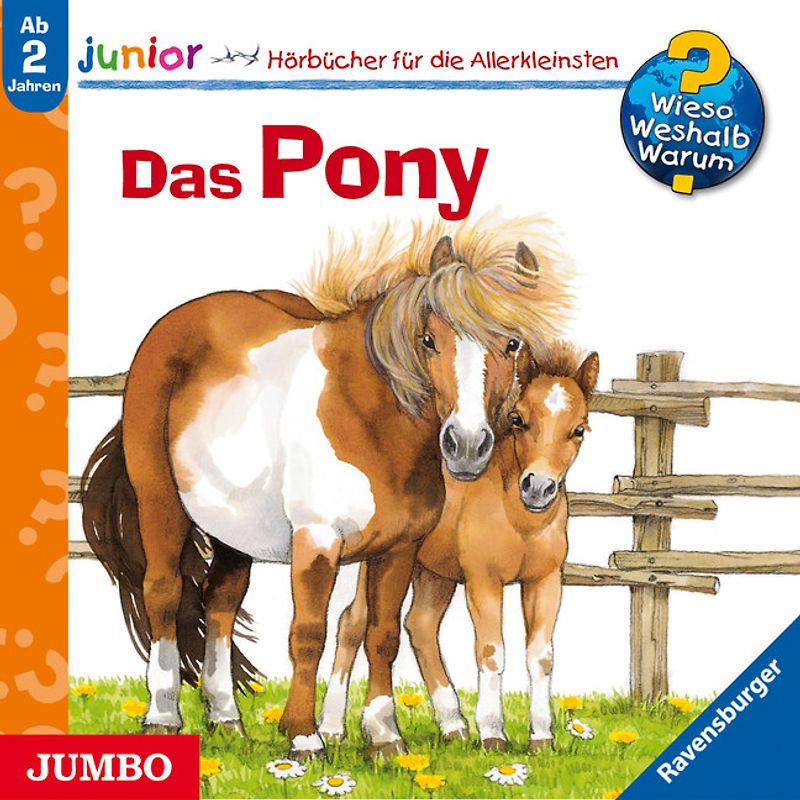 Das Pony