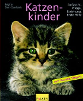 Katzenkinder