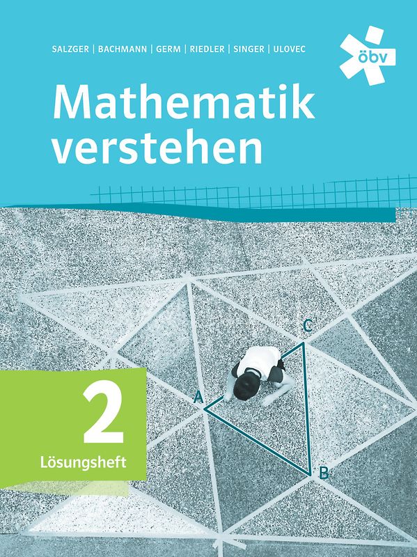 Mathematik verstehen 2, Lösungen