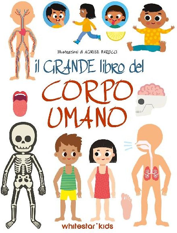 Il grande libro del corpo umano