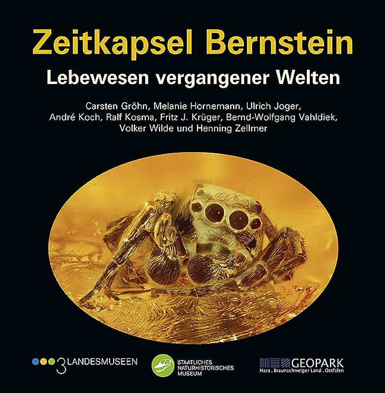 Zeitkapsel Bernstein – Lebewesen vergangener Welten