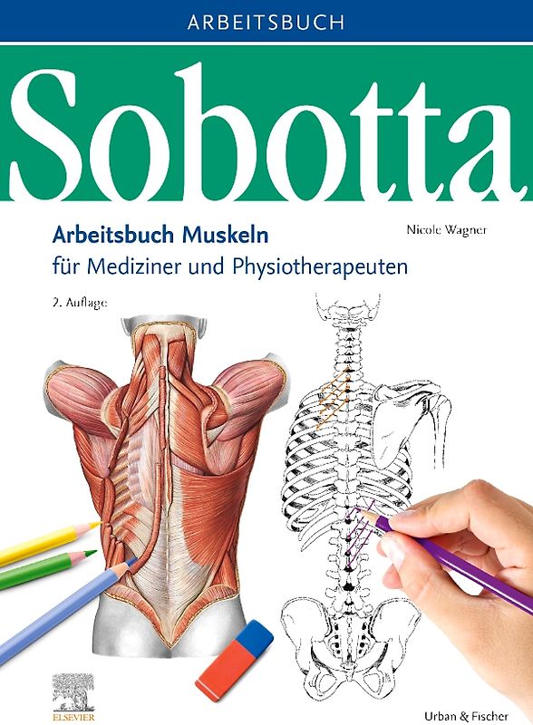 Sobotta Arbeitsbuch Muskeln