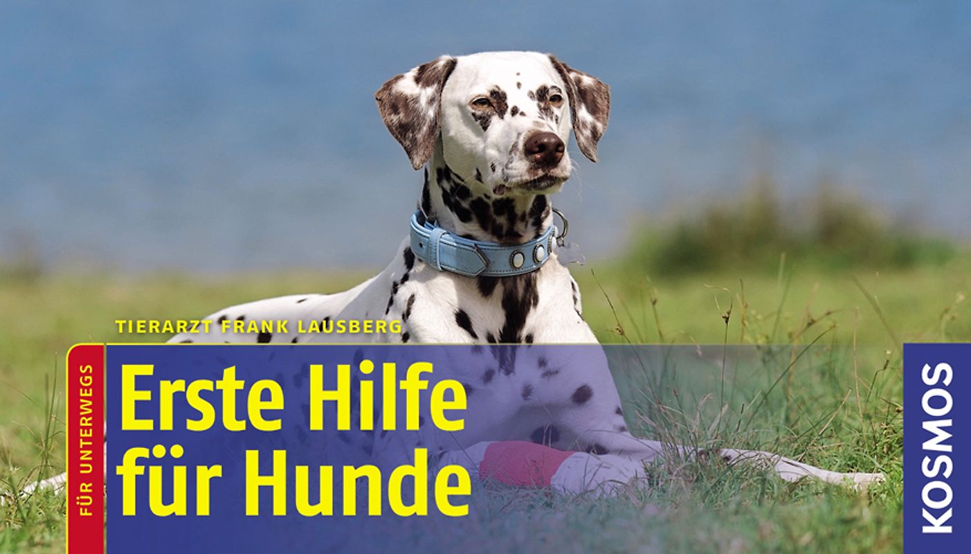 Erste Hilfe für Hunde