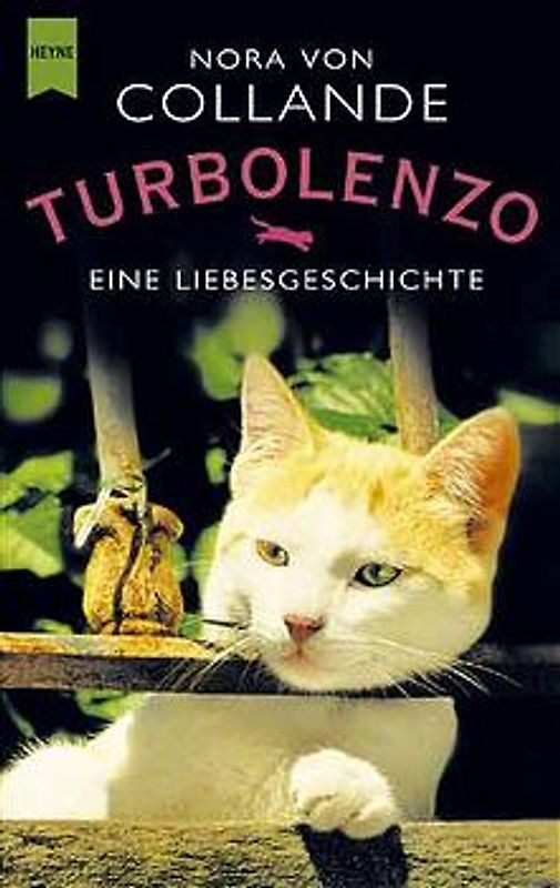 Turbolenzo. Eine Liebesgeschichte