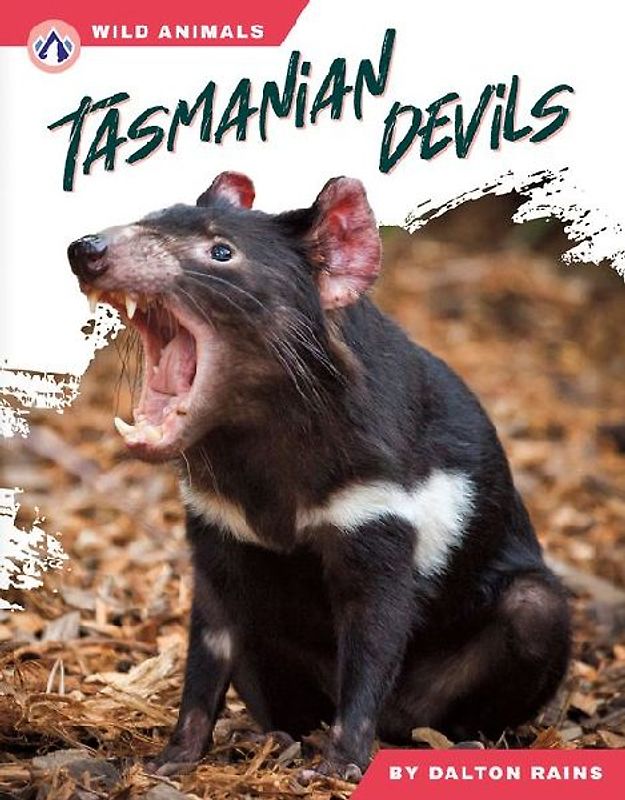Tasmanian Devils