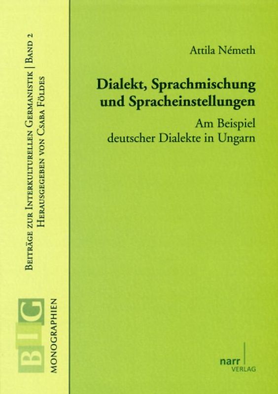 Dialekt, Sprachmischungen und Spracheinstellungen