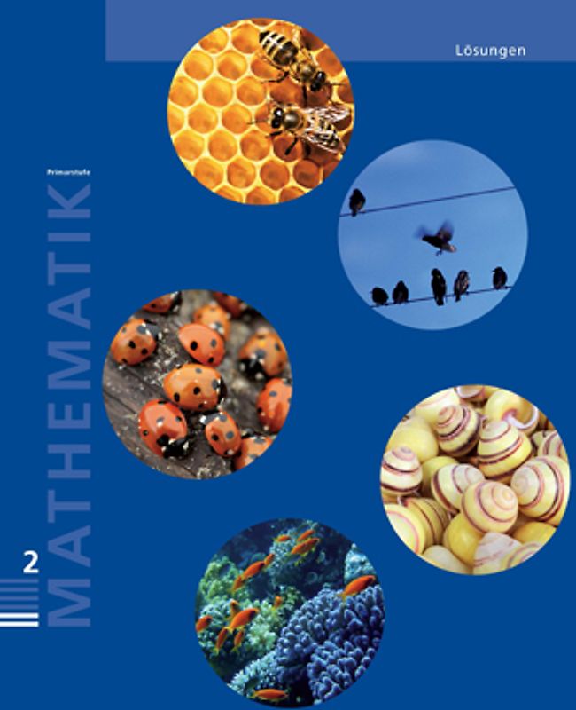 Mathematik 2 Primarstufe / Lösungen