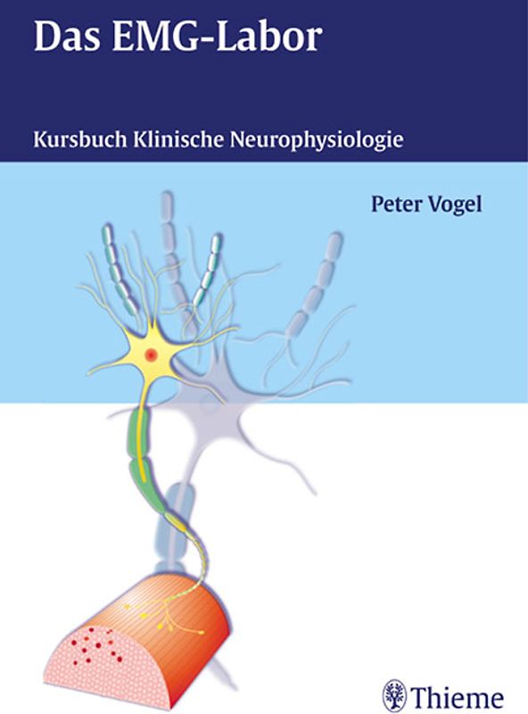 Kursbuch Klinische Neurophysiologie