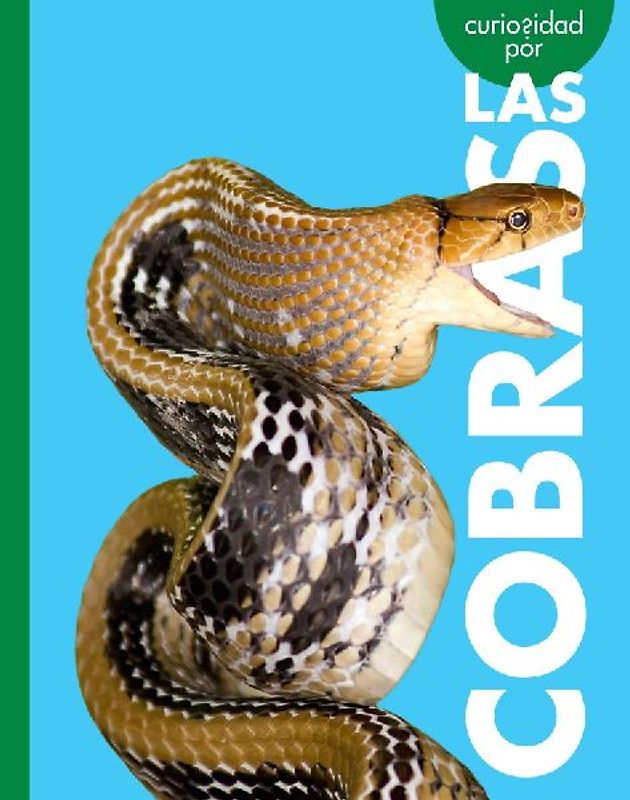 Curiosidad Por Las Cobras