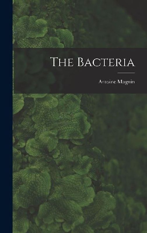 The Bacteria